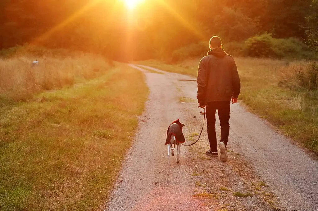 The Benefits of Integrating Tech Solutions in Comfort Care for Terminal Pets