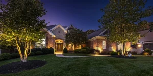 How to use uplighting in landscape design